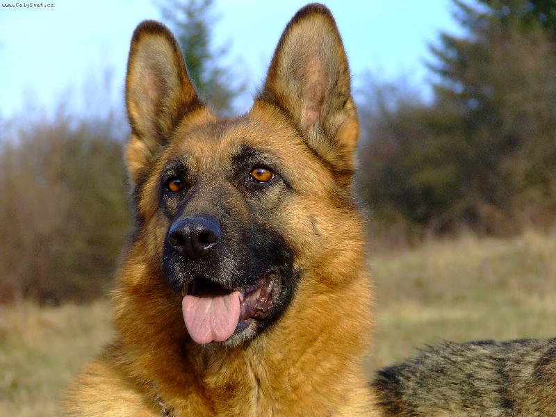 Foto: S láskou-Jeny Maserau