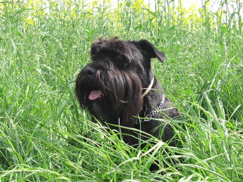 Foto: Jsem si myslel, že nejsem vidět