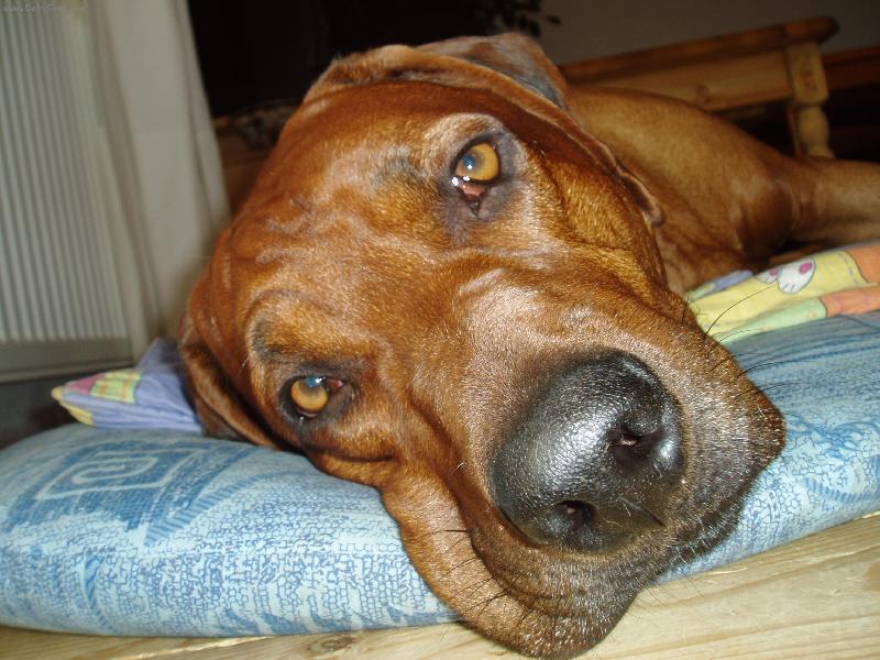 Foto: utahanej z procházky-Richi