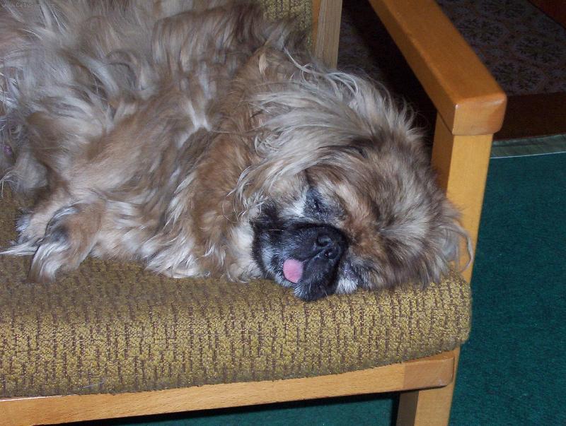 Foto: Bodie-Tvrdý spánek