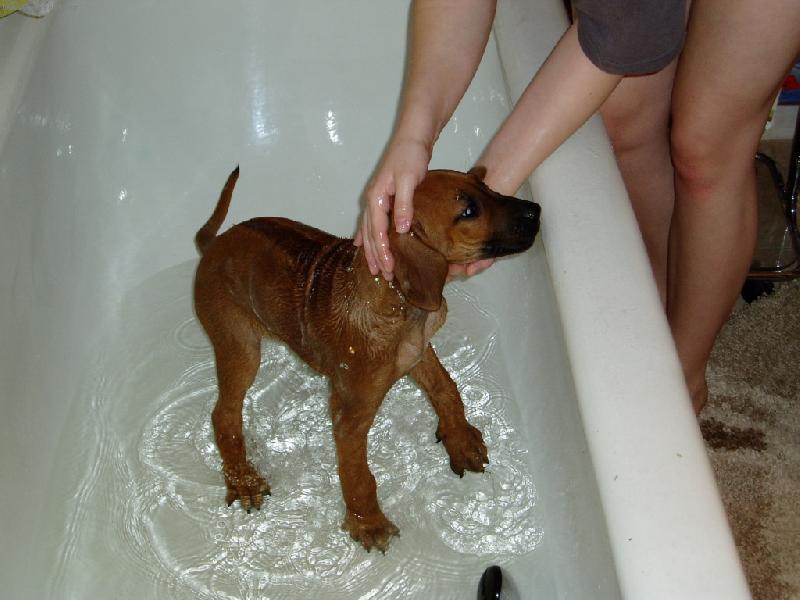 Foto: ve vaně-brrrr, to je ale mokrý!!!!!!!!!