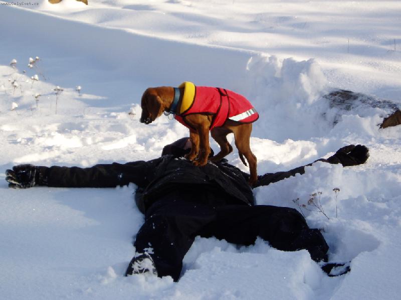 Foto: hrátky na sněhu-pomoc!!!! studí mě nožičky...