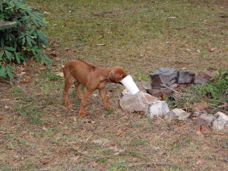 Foto: u ohniště-doufám, že tam zbyla aspoň kapka...škyt...