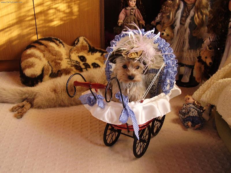 Foto: Prostě k sežrání...