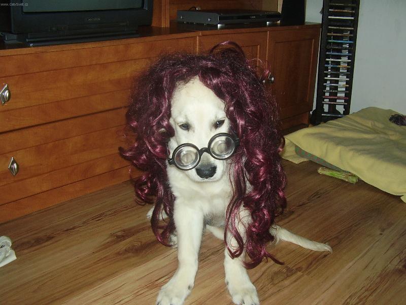 Foto: Pozor do lavic-se učit, se učit, se učit