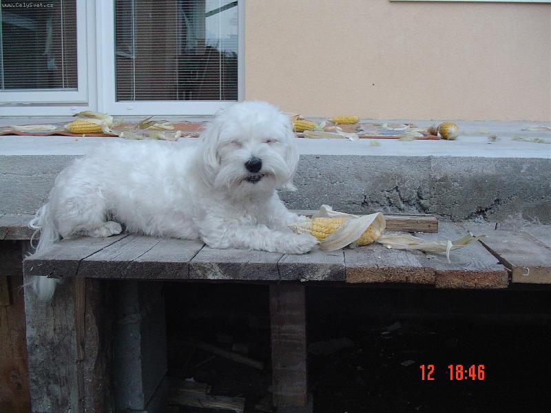 Foto: Chutné!!!!!!!!!!!!!!!