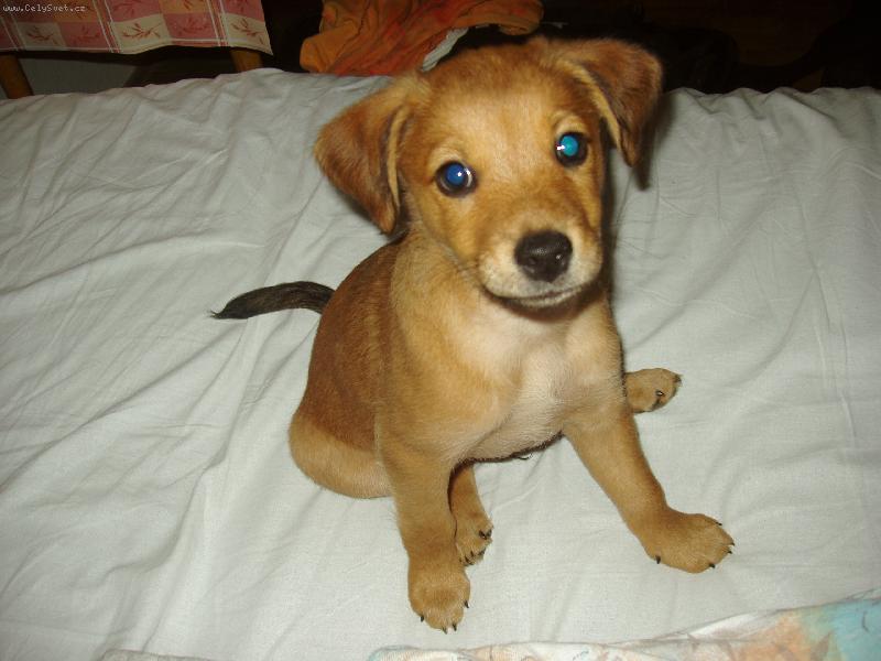 Foto: Malej Artíšek