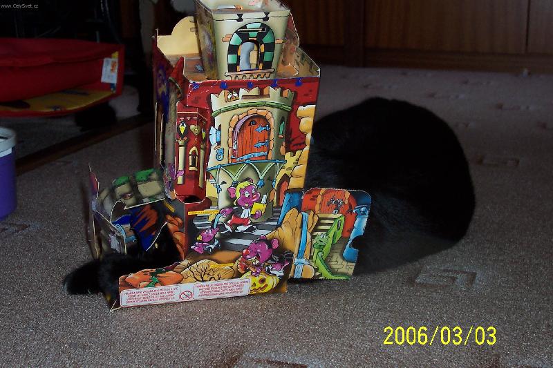 Foto: kočka Lucie-...návštěva hradního pána...