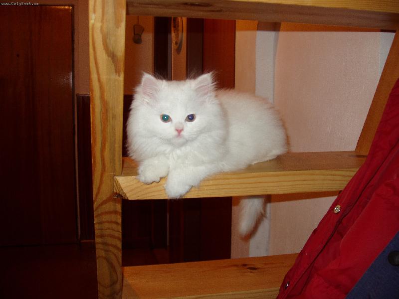 Foto: Malá Eliška.