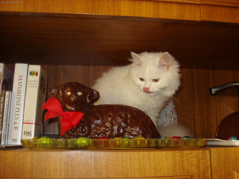 Foto: Eliška a velikonoční beránek-Já mám na něho takovou chuť...