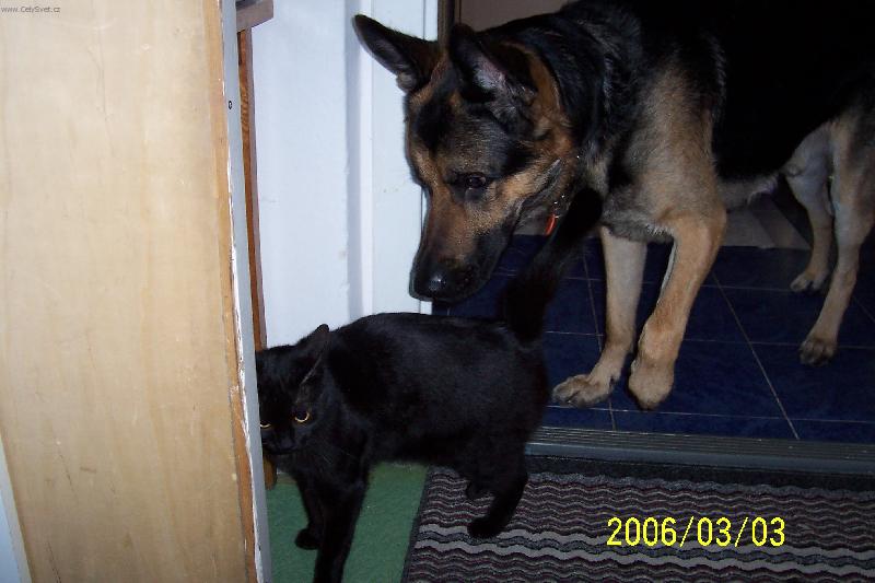 Foto: kamarádi : Lucie + Falo-...já to tak nemyslel...