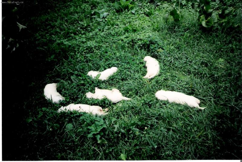 Foto: odpolední siesta