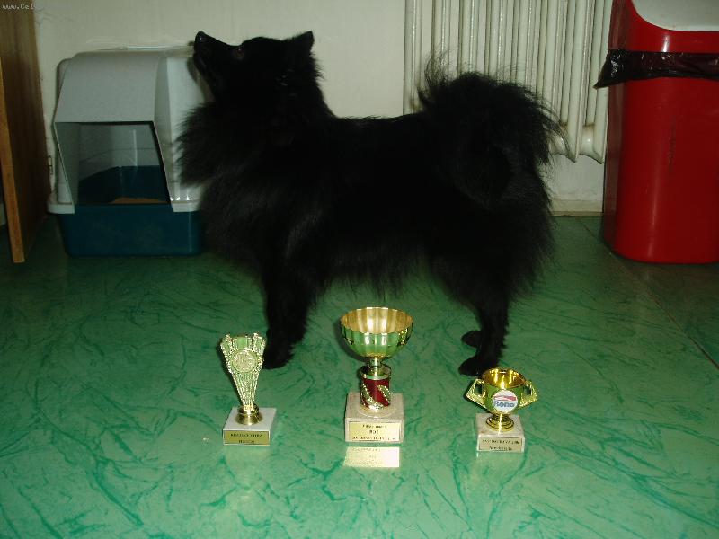 Foto: Fanny a její pilně vydělané pohárky