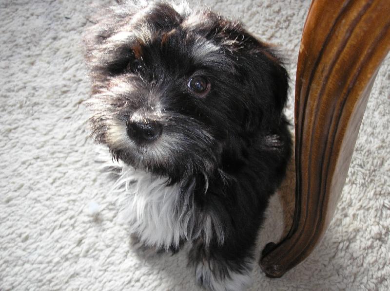 Foto: K noze!!!-Tvrdá drezůra