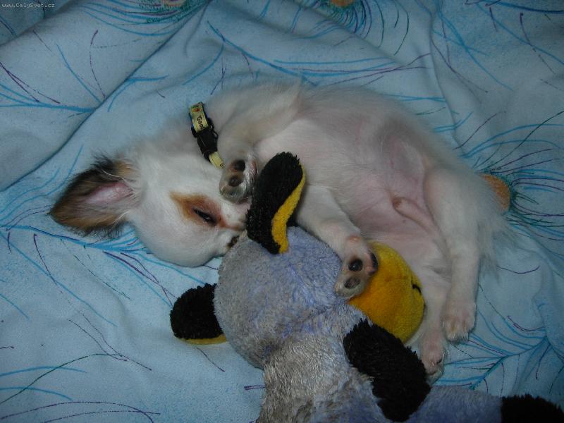 Foto: Matýsek-Jdi s tím bleskem do........