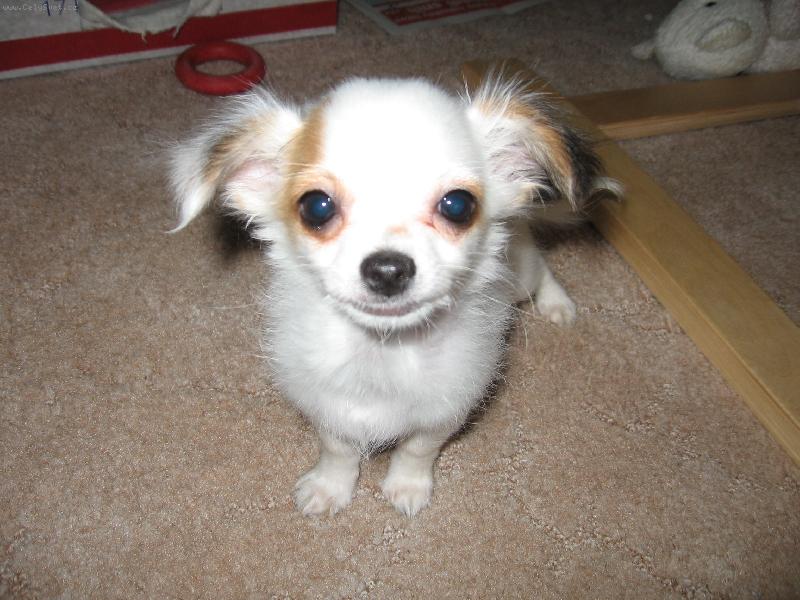 Foto: Matýsek-KUK......