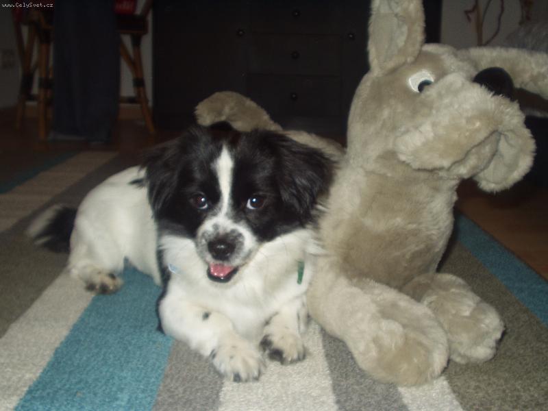 Foto: niki.jpg-ja a muj nejlepsi kamarad