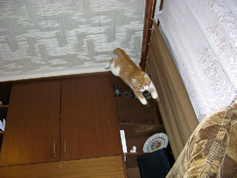 Foto: lítání mně fakt baví-Kubíčkova nejmilejší zábava.