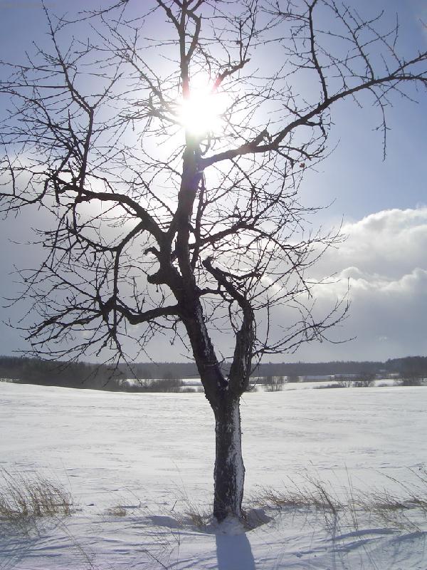 Foto: od Kostelce k Jevanům