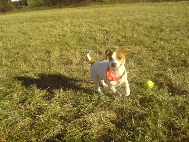 Foto: Jessynka a míček-úsměv :-)