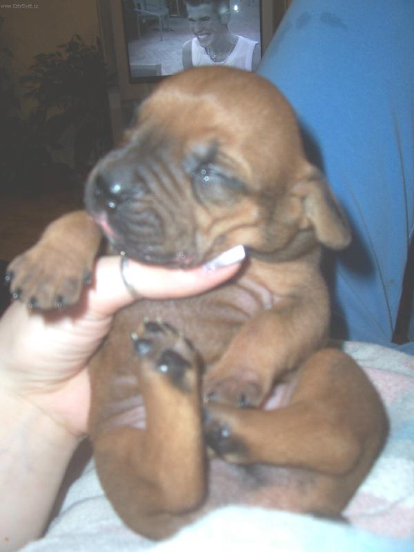 Foto: nerušit,spikám:o)