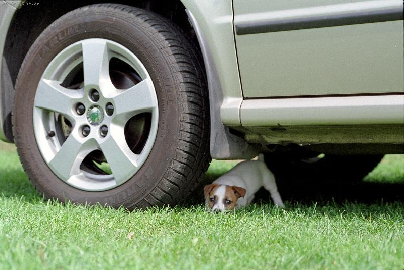 Foto: Kuk-Mijaaaaaaaaaa