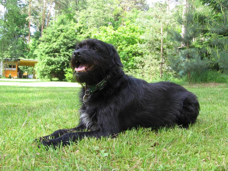 Foto: Náš Čertík