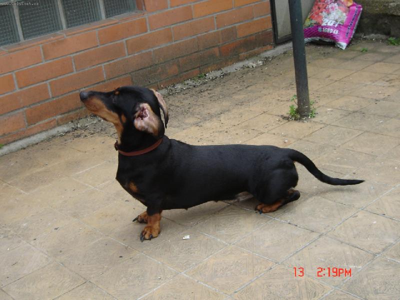 Foto: Naše Dorotka Květáková princezna-Musím si vyvětrat mozeček