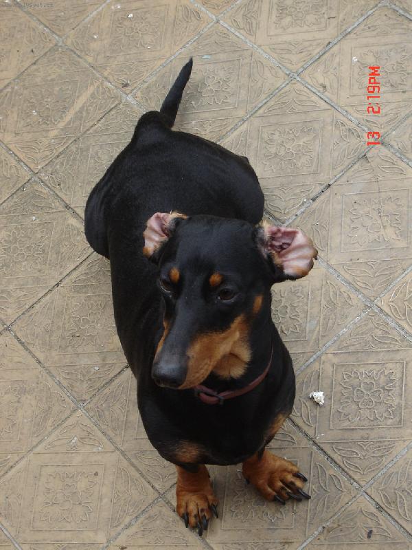 Foto: Dorotka-a opět květák:)