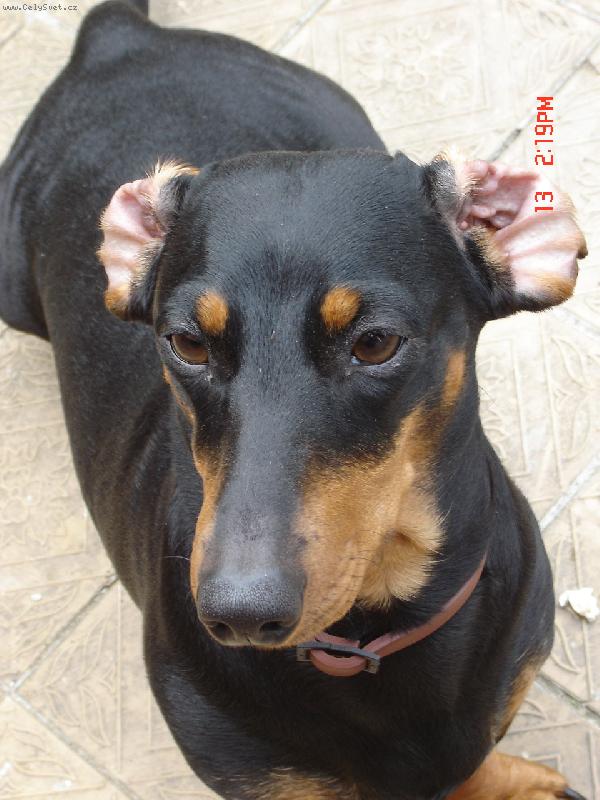 Foto: Doris-Princessssss