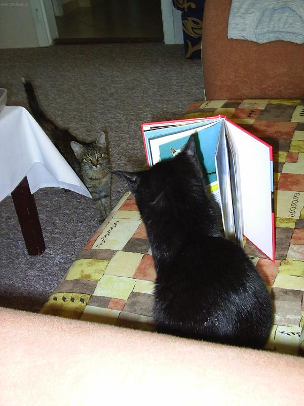 Foto: ...sebevzdělávání...