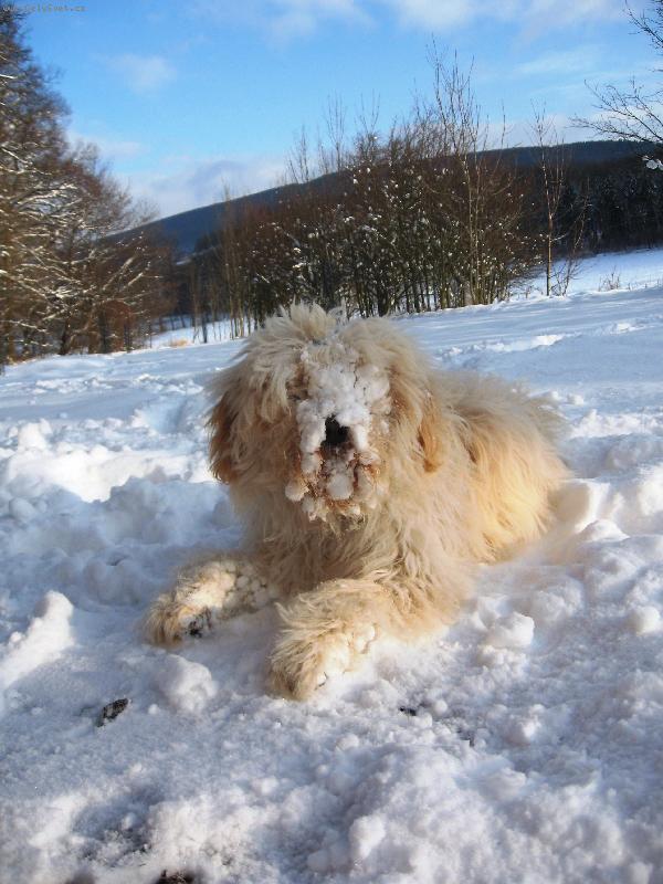 Foto: Konečně snížek!!!