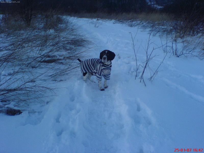 Foto: Zima-Je zima a já sem čerstvě ostříhaný take sem musel na rychlo sehnat obleček. Proto mám na sobě paničky svetr =)