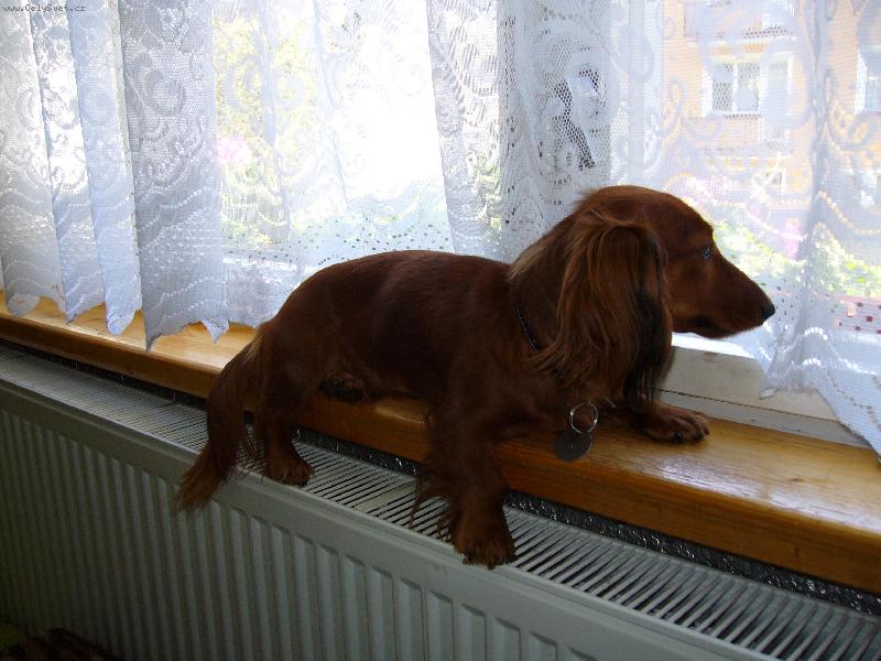 Foto: moje nejoblíbenější místečko-tady sedím nejradši