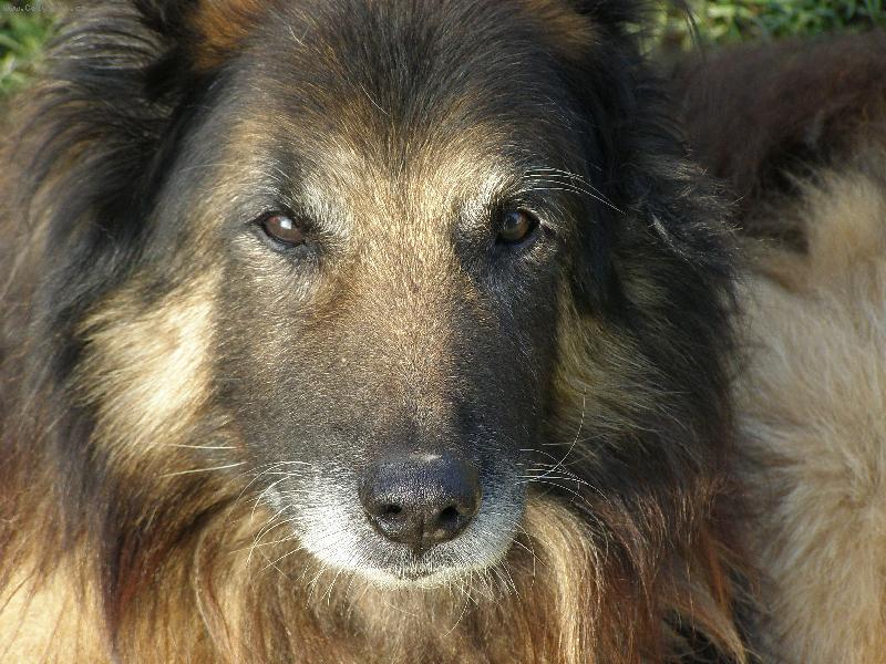 Foto: Starý pán-Našemu Danovi zbývají poslední tři dny života.