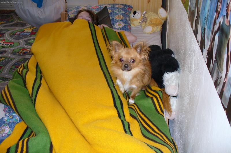 Foto: Filípek-tady je mi nejlépe