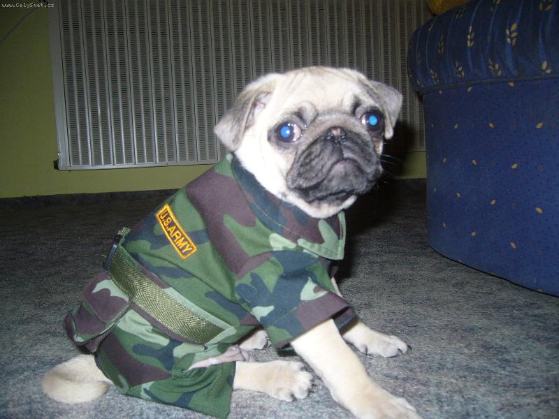 Foto: módní přehlídka