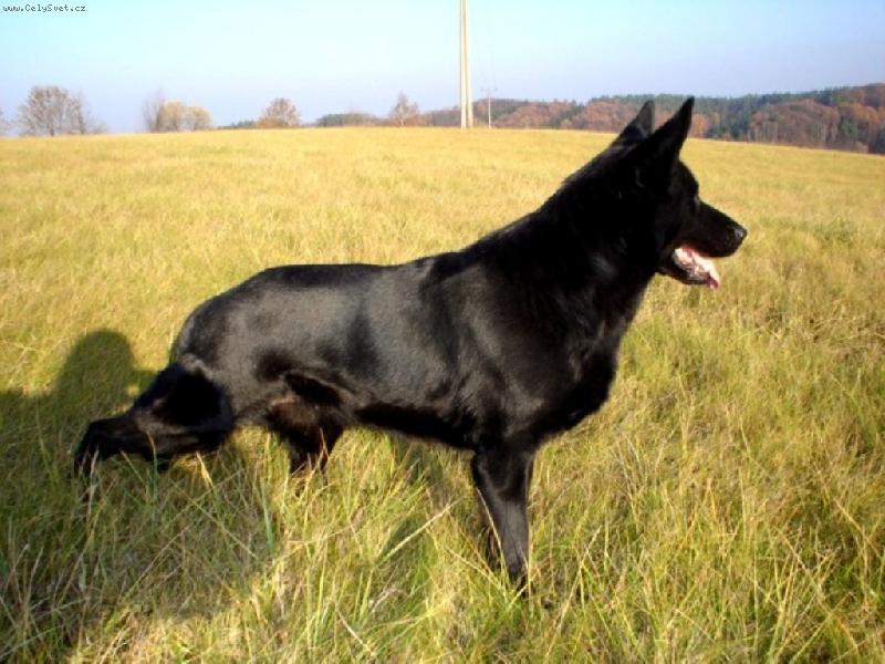 Foto: Kelly-podzimní den