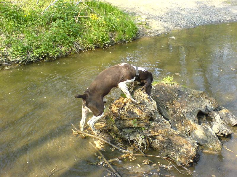 Foto: Miluju vodu a velký aporty- =)