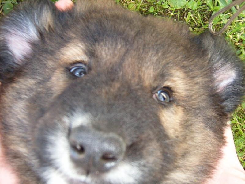 Foto: Nerinek-Na svět se dívám pěkně z blízky