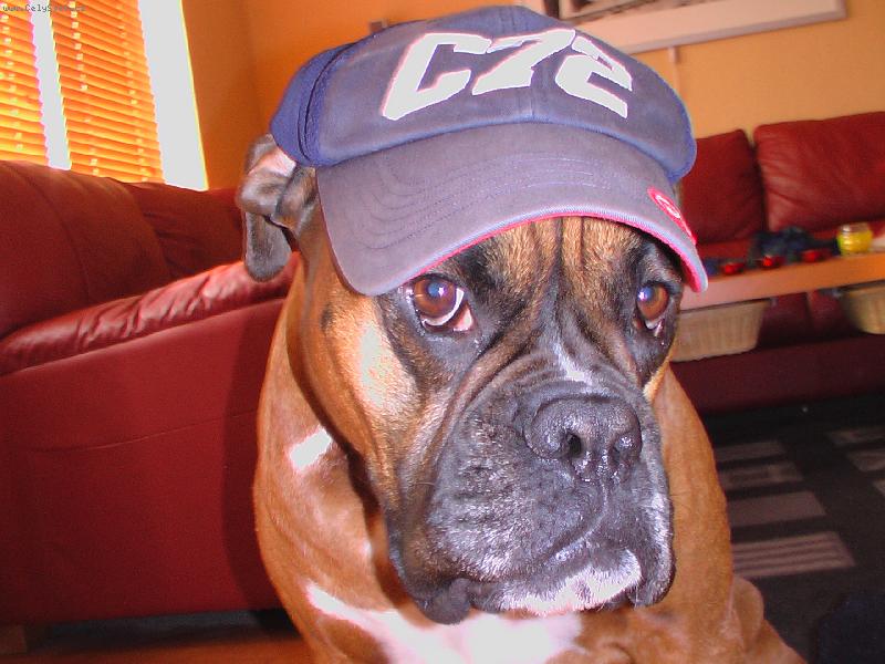 Foto: Náš Edošek-tak vezme mě už někdo ven SAKRA