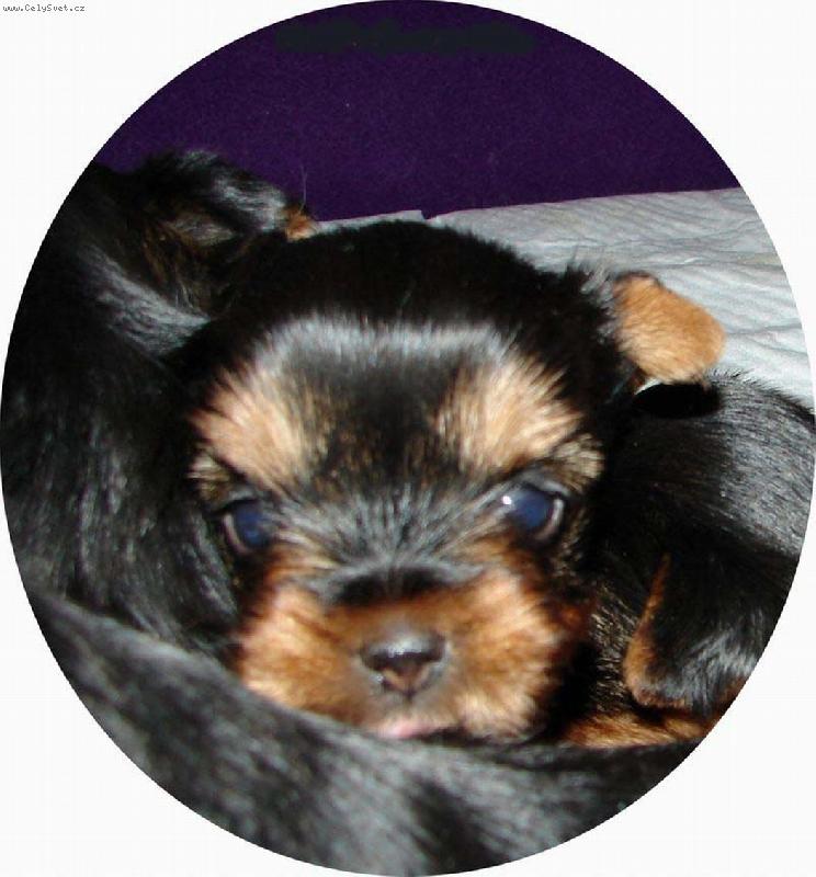 Foto: Už se rozkoukávám...