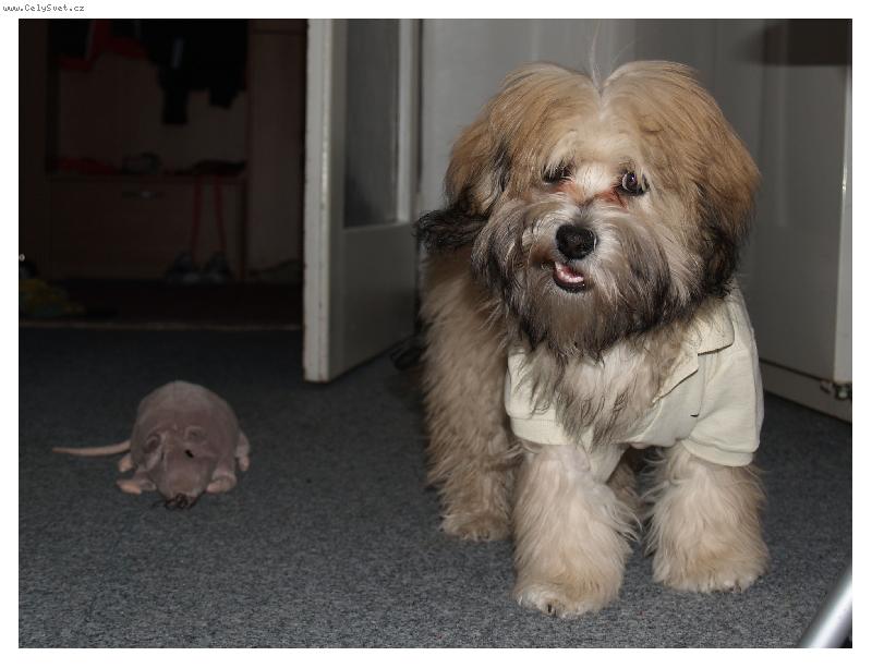 Foto: Sundej to ze mě nebo...-...uvidí!!!