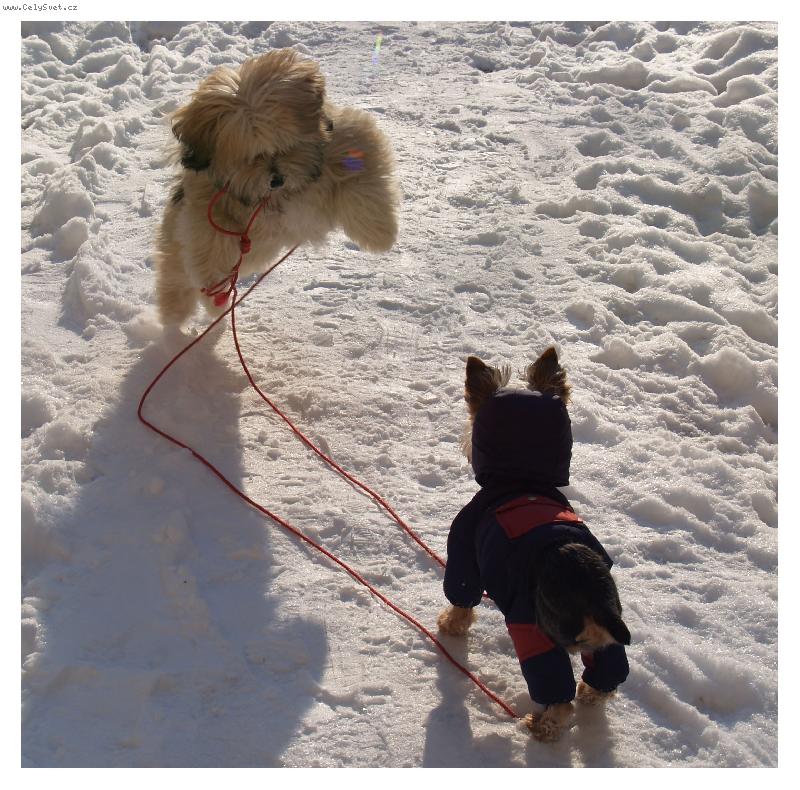 Foto: Útok-Angenka s Kimečkem