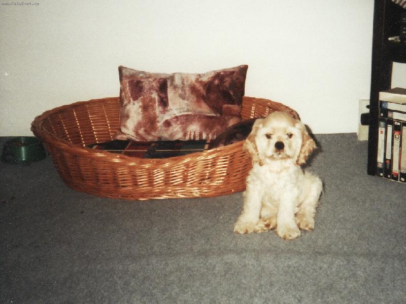 Foto: Akouš-To je moje místo