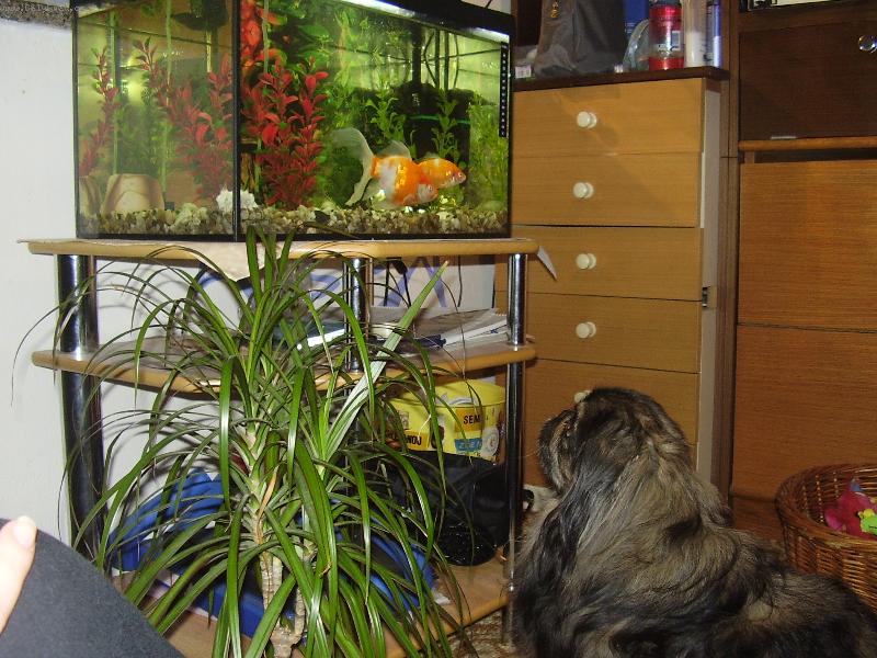 Foto: Hmm....svačinka...