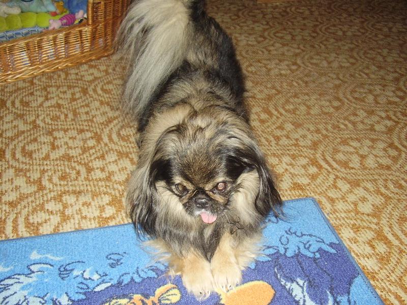 Foto: Bíďa-Rozcvička...