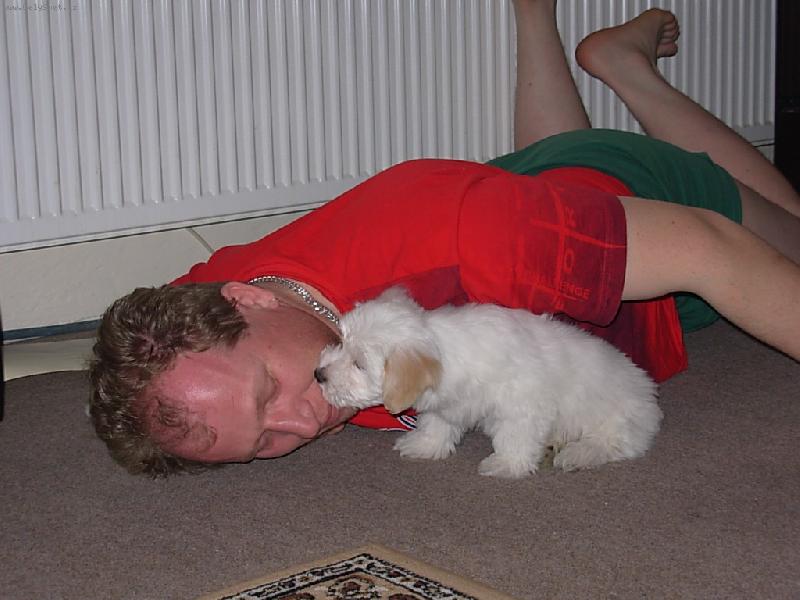 Foto: Náš čumáček....-Pusinka páničkovi na dobrou noc....