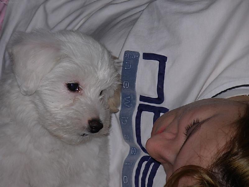 Foto: Naše malá radost...-Ty máš bejt jako má pánička?!