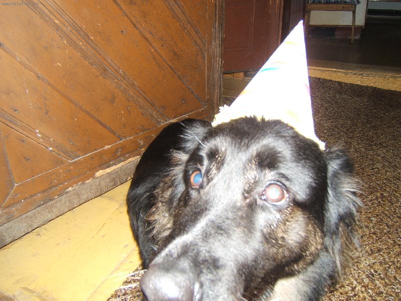 Foto: Zuza slaví Silvestr